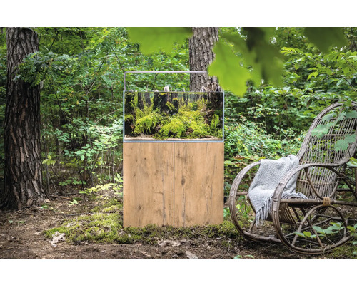 Aquarium met onderkast in het bos