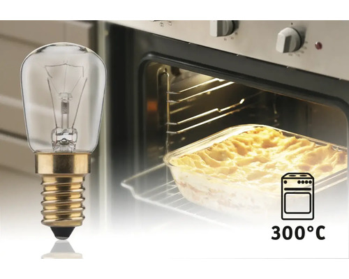 Ovenlamp voor een oven met een ovenschotel