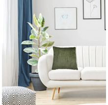 Decoratieve woonkamer met bank, kamerplant en corduroy kussen.