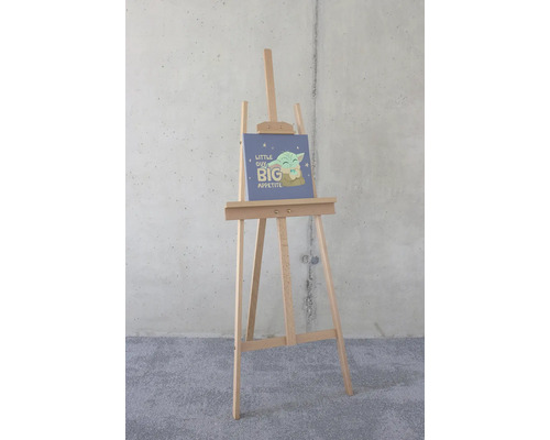 Ezel met canvas, motief van Star Wars: The Mandalorian