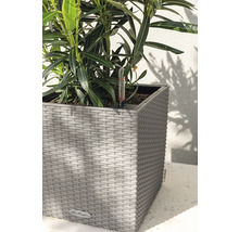 Planten in een Lechuza plantenbak met vochtmeter