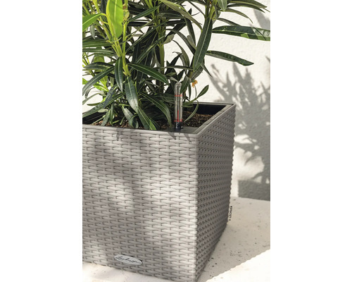 Planten in een Lechuza plantenbak met vochtmeter