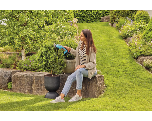 Vrouw snoeit buxusbol met een accugrasschaar in de tuin