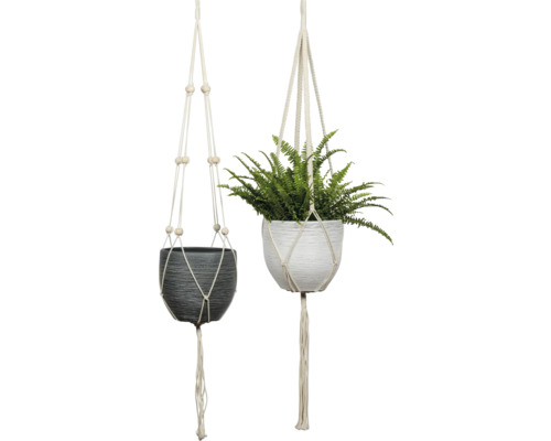 Twee hangende bloempotten met planten en macraméhouders