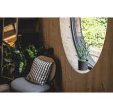 Lichte houten wand met rond raam, potplant, stoel met kussen en kamerplanten