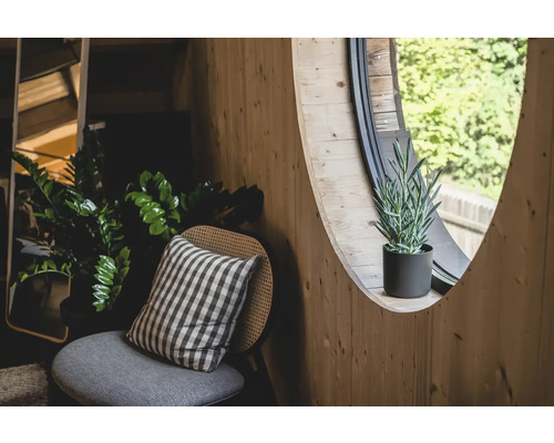 Lichte houten wand met rond raam, potplant, stoel met kussen en kamerplanten