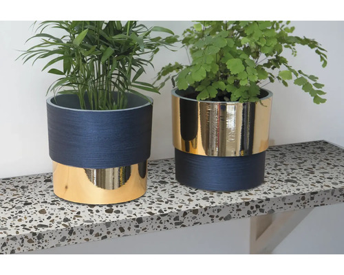 Twee kamerplanten in plantenbakken met houten structuur en goudkleurig accent op een werkblad