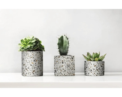 Drie planten in bloempotten met terrazzo-patroon