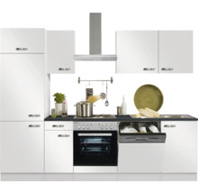 Complete keuken met spoelbak, vaatwasser, fornuis en afzuigkap