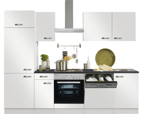 Complete keuken met spoelbak, vaatwasser, fornuis en afzuigkap