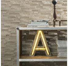 DECOSA Wandpaneel kunststof steen wit 50x20 cm 5 stuks