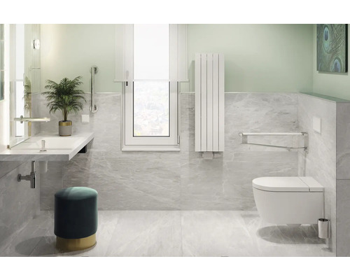 Toegankelijke badkamer met wastafel, toilet en handgrepen