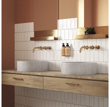 Badkamer met twee ronde wastafels, kranen, planken en witte tegels