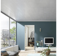 DECOSA Plafondpaneel PVC AP305 wit 100x16,5 cm
