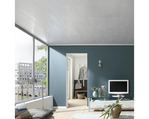 Woonkamer met houten lambrisering plafond, raam en meubels