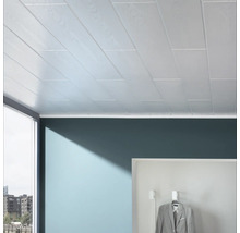 DECOSA Plafondpaneel PVC AP305 wit 100x16,5 cm