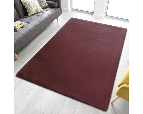 Rechthoekig hoogpolig tapijt in een woonkamer met bank