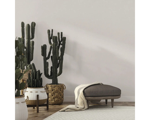 Decoratief interieur met cactussen in manden, een hocker en een vloerkleed