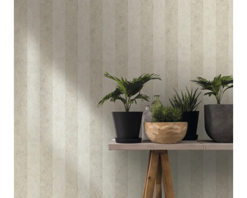 Kamerzicht met gestreepte wallpaper, planten in potten en decoratieve flessen