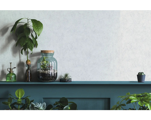 Decoratieve kamerplanten en plantenbakken op een plank