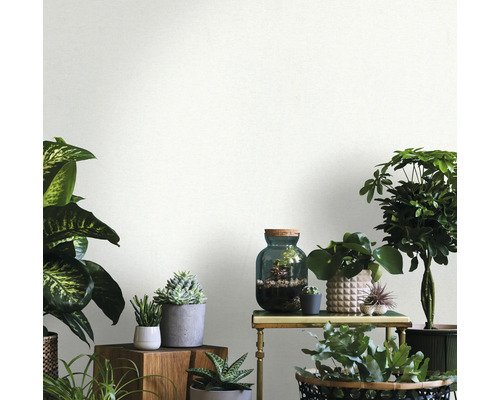 Interieur met diverse kamerplanten op tafels en planken, heldere en vriendelijke sfeer.