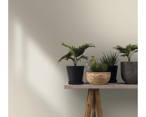 Wanddecoratie met kamerplanten op een tafel