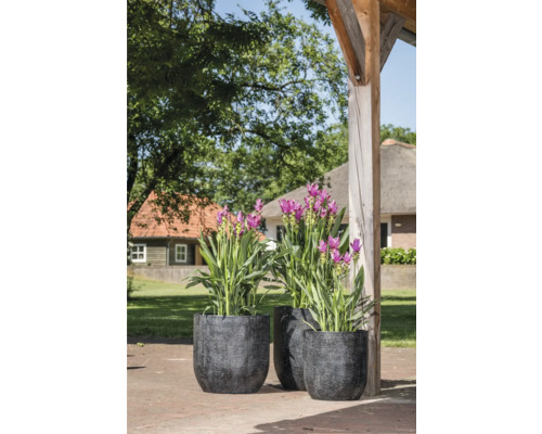 Drie zwarte plantenbakken met bloeiende planten buiten.