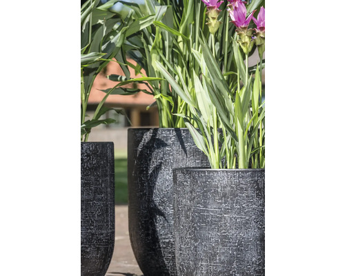 Drie gestructureerde plantenbakken met planten