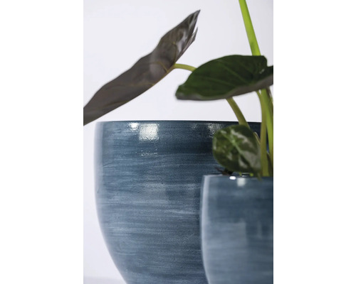 Keramische bloempotten met plant
