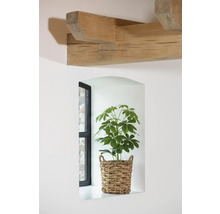 Decoratieve kamer met sierplant in vlechtmand in een muurnis naast een raam en houten balken