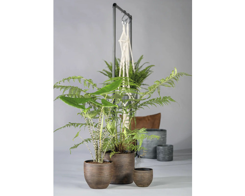 Diverse kamerplanten in plantenbakken en een hangmand aan een metalen standaard