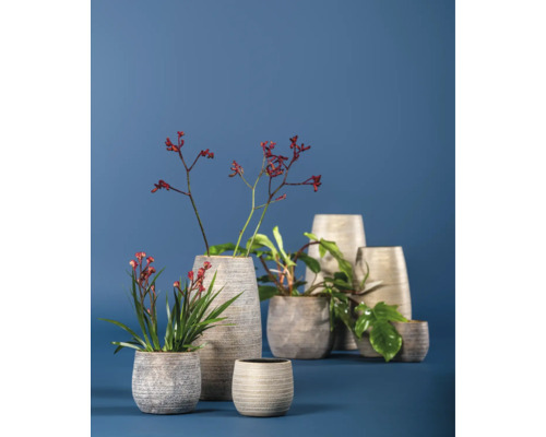 Diverse beplante plantenbakken voor een blauwe achtergrond