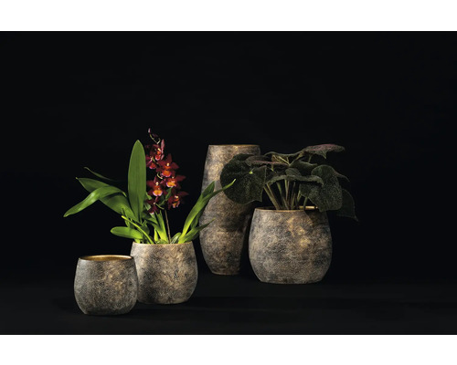 Diverse bloempotten en plantenbakken met planten