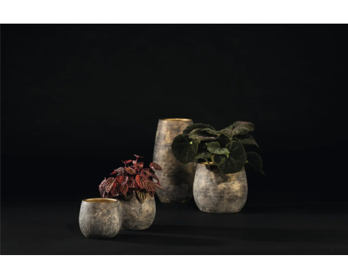 Arrangement van drie gestructureerde plantenbakken met planten