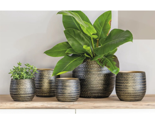 Decoratieve plantenbakken in verschillende maten op een plank met planten