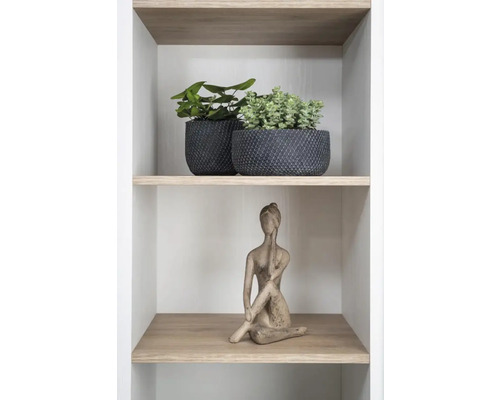 Decoratieve plank met planten in potten en een vrouwenbeeld