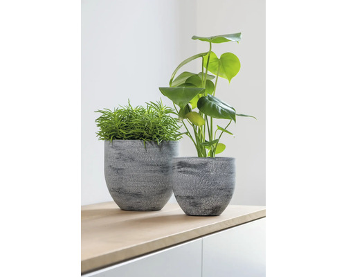 Twee planten in grijze bloempotten op een tafel.