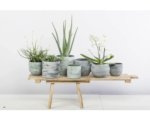 Diverse planten in plantenbakken op een houten tafel