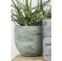 Decoratieve aloëplant in gestructureerde plantenbak