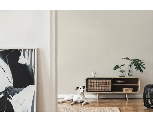 Lichte woonkamer met dressoir, decoratie en hond