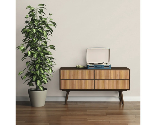 Scene met kamerplant, platenspeler en dressoir in de kamer