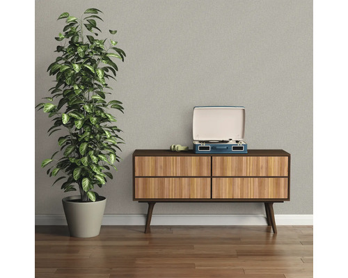Decoratieve woonkamer met plant, platenspeler en dressoir
