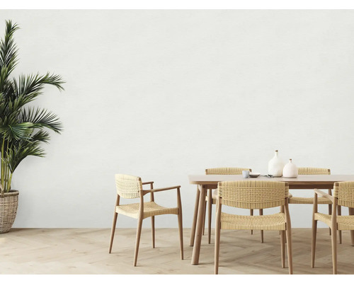 Eetkamer met houten tafel, stoelen en kamerplant