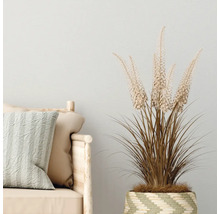 Decoratieve plant in een gevlochten mand naast een bank met kussens