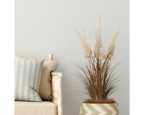 Decoratieve plant in een gevlochten mand naast een bank met kussens