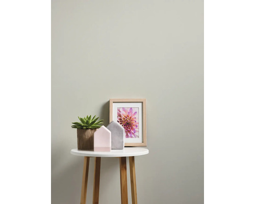 Decoratie met vetplant in pot, twee decoratieve huisjes en een foto op een bijzettafel