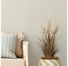 Decoratieve scène met bank, kussens en siergras in pot