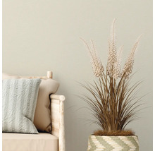 Decoratieve kunstplant in geweven mand naast een bank met kussens.