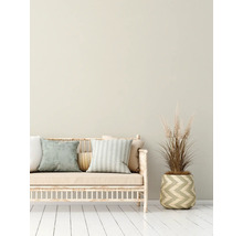 Decoratieve woonkamer met bank, kussens en potplant