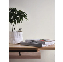 Decoratieve kamerplant in witte pot op een lichte houten tafel met twee boeken en een lade